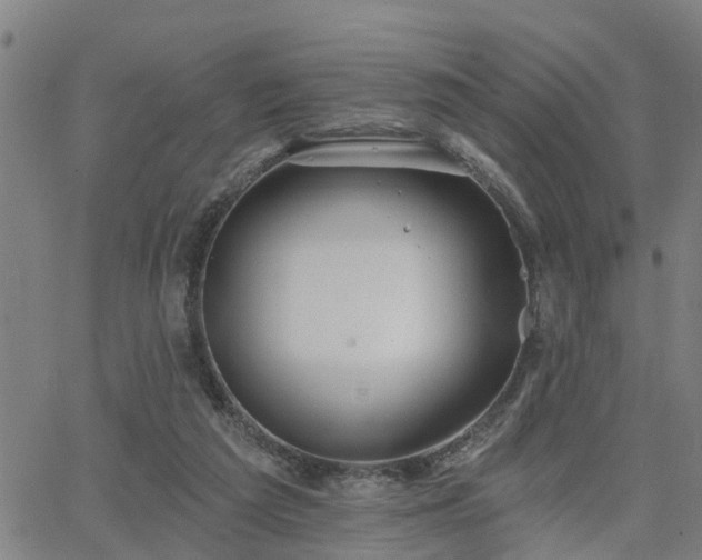 X0000063450209200601271547