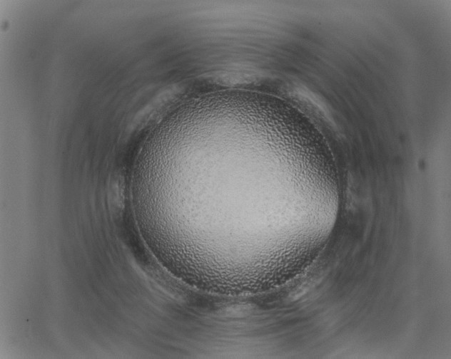 X0000063450210200601271547