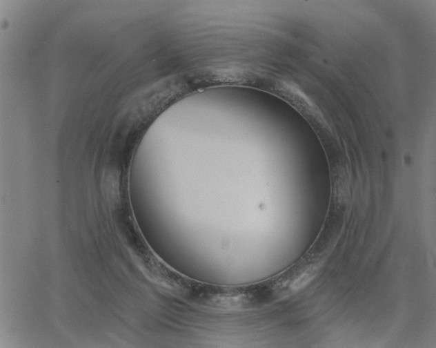 X0000063450213200601271547