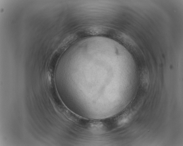 X0000063450214200601271547