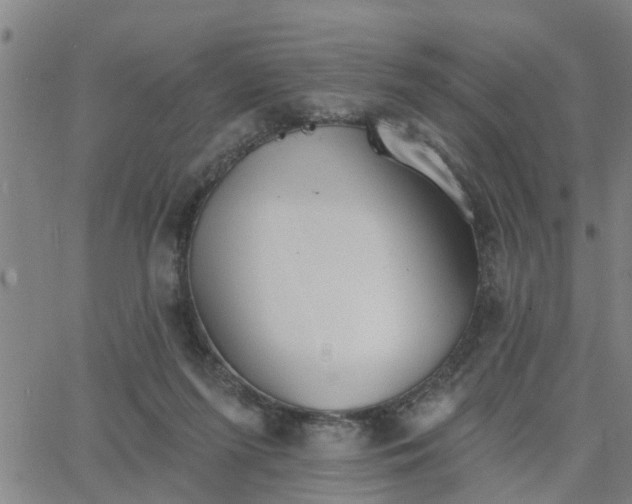 X0000063450215200601271547