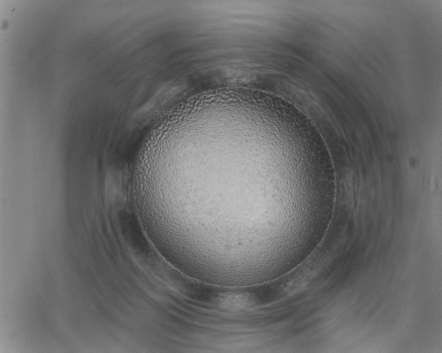 X0000063450218200601271547