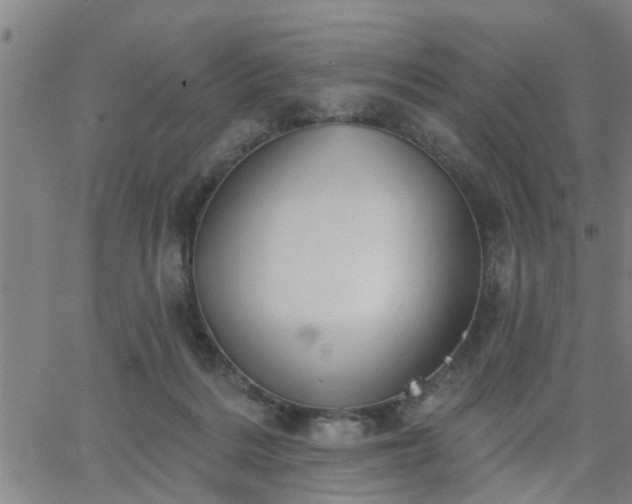 X0000063450220200601271547