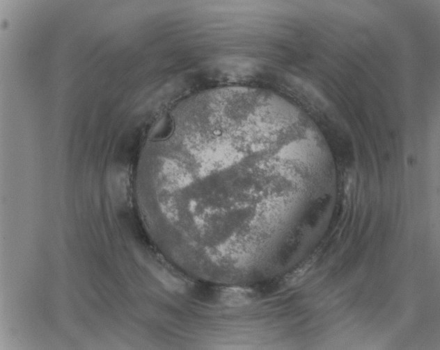 X0000063450222200601271547