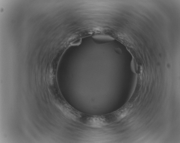 X0000063450223200601271547