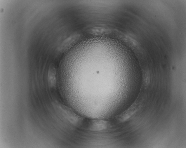 X0000063450226200601271547