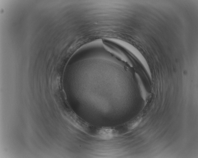 X0000063450227200601271547