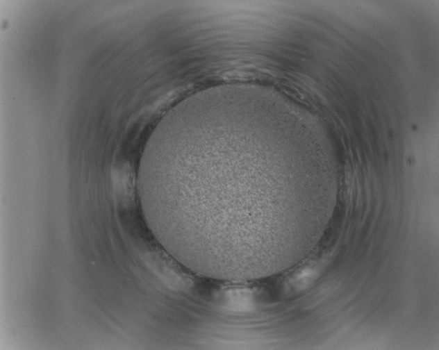 X0000063450228200601271547