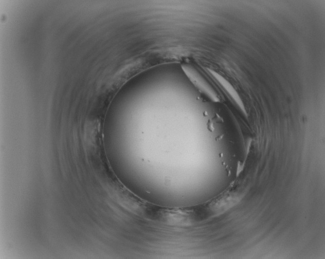 X0000063450229200601271547