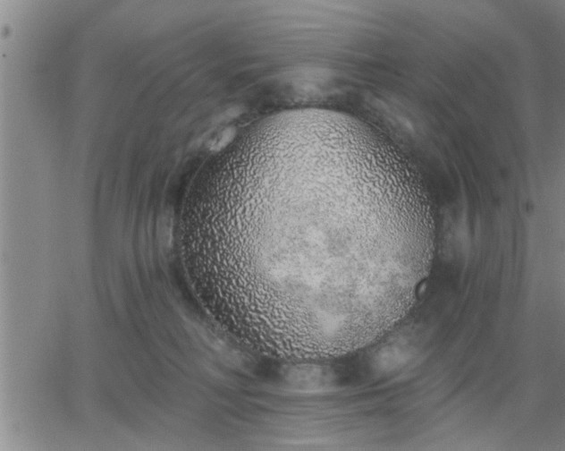 X0000063450230200601271547