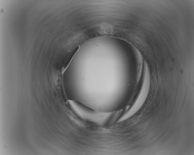 X0000063450233200601271547