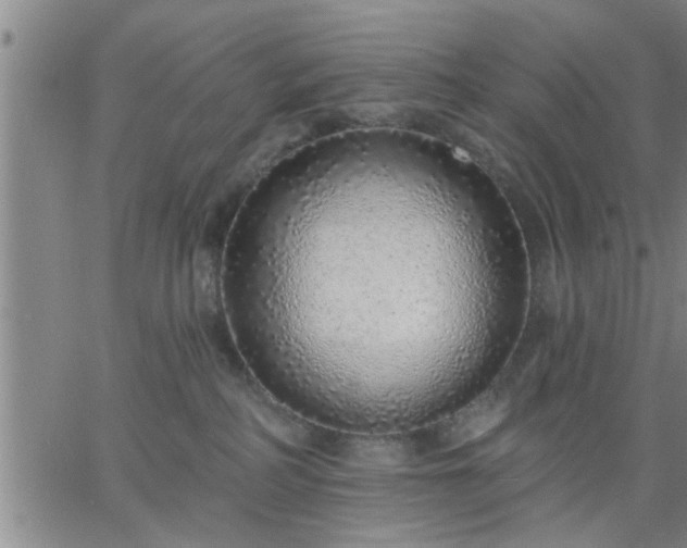 X0000063450234200601271547