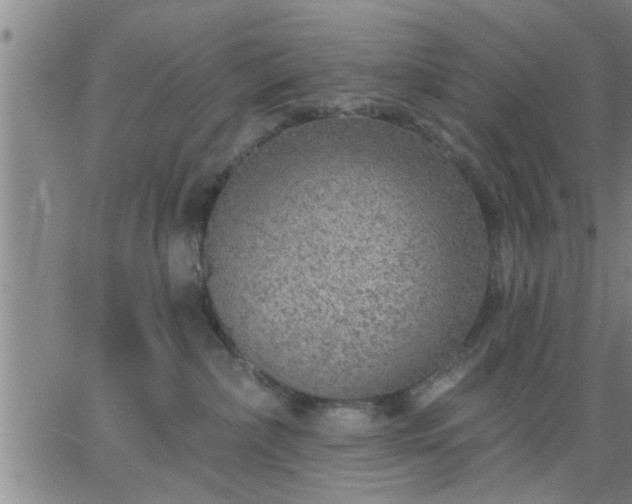 X0000063450236200601271547