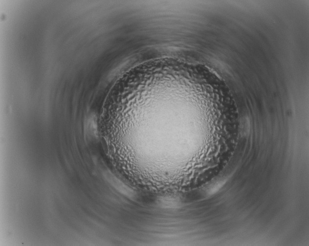 X0000063450238200601271547