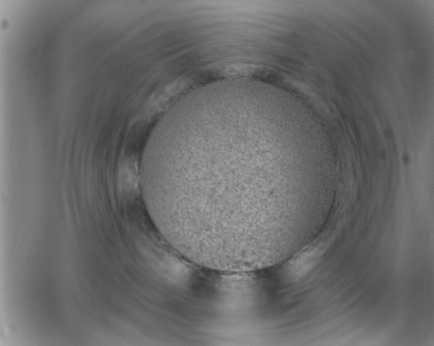 X0000063450240200601271547