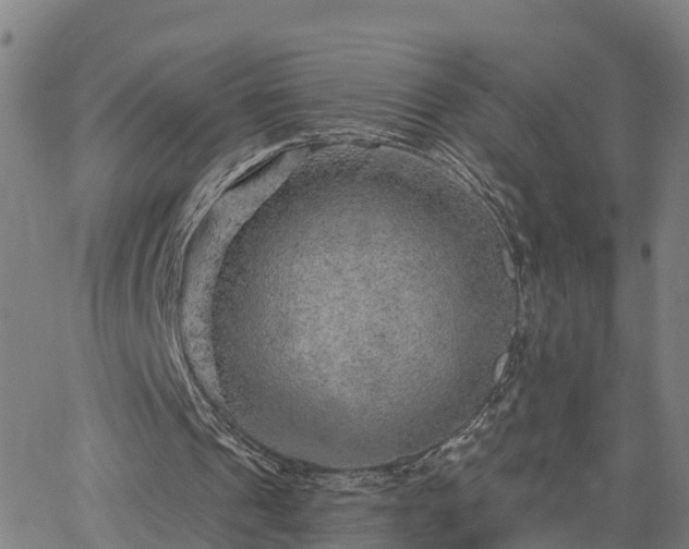 X0000063450241200601271546