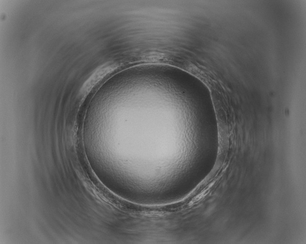 X0000063450242200601271546