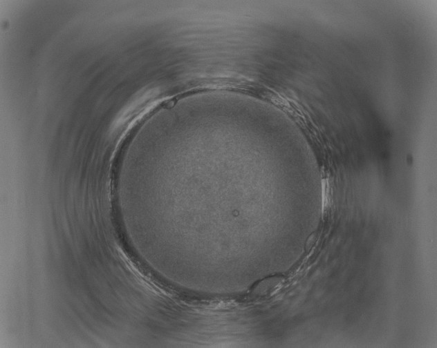 X0000063450243200601271546