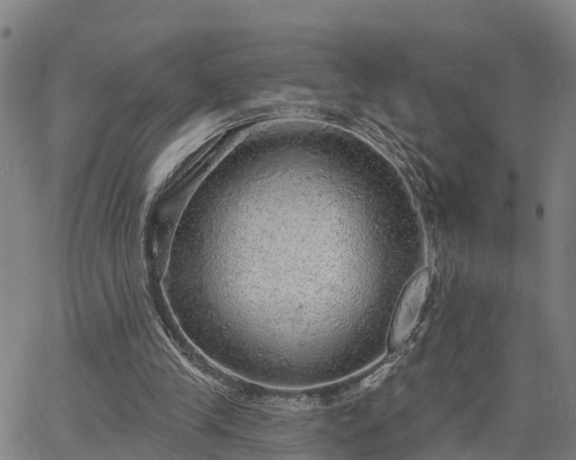 X0000063450245200601271546