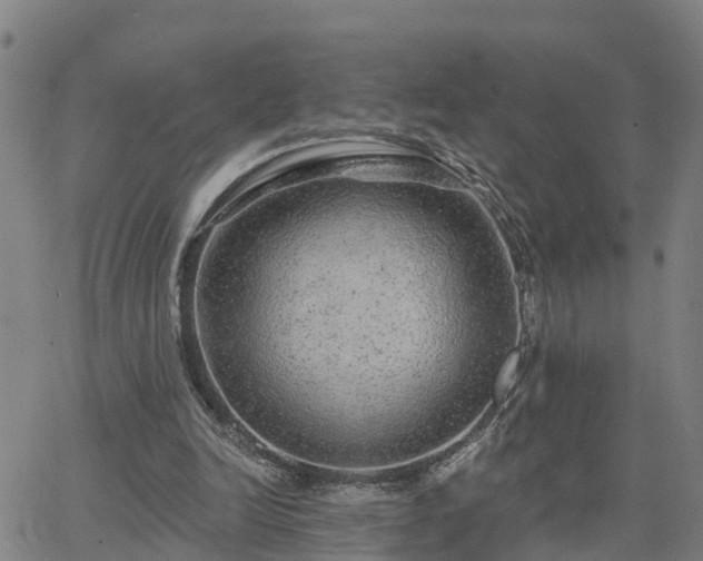 X0000063450246200601271546