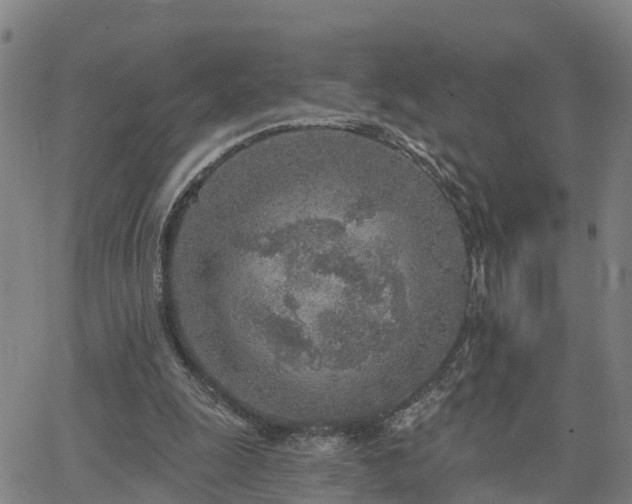 X0000063450247200601271546