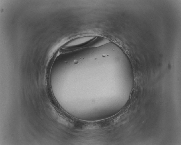 X0000063450248200601271546