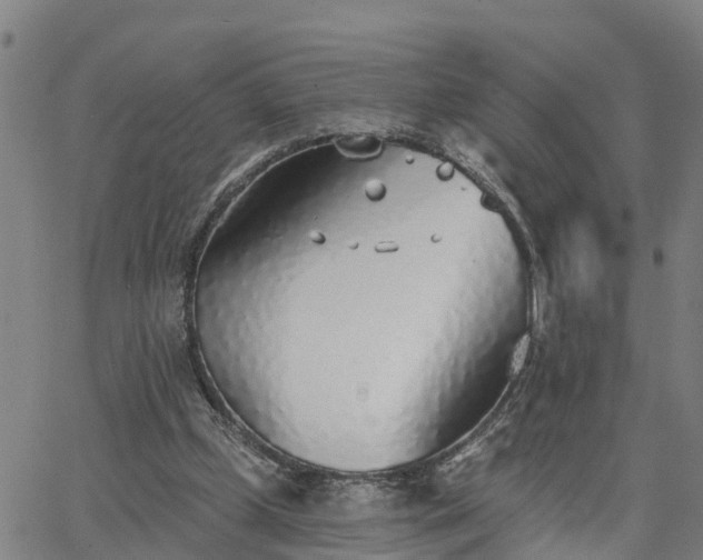 X0000063450249200601271546