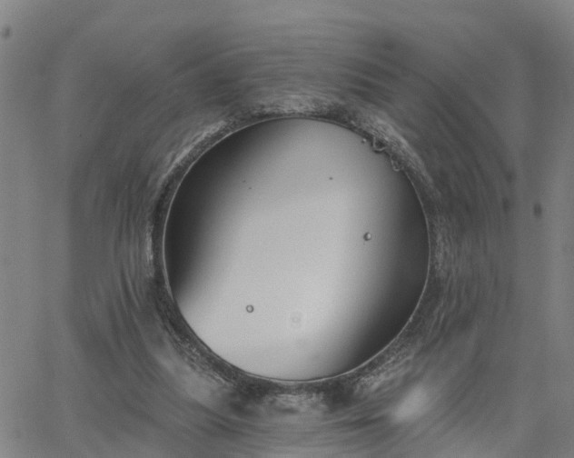 X0000063450251200601271546