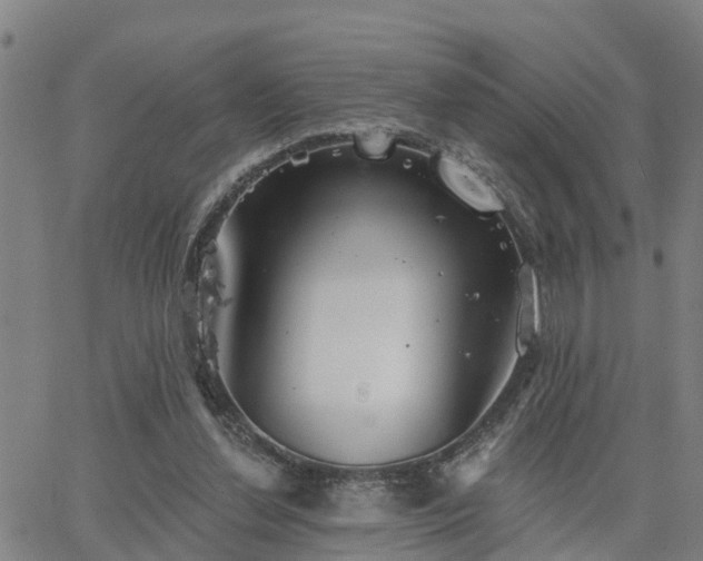 X0000063450252200601271546