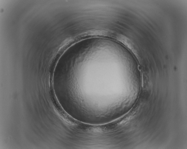 X0000063450253200601271546