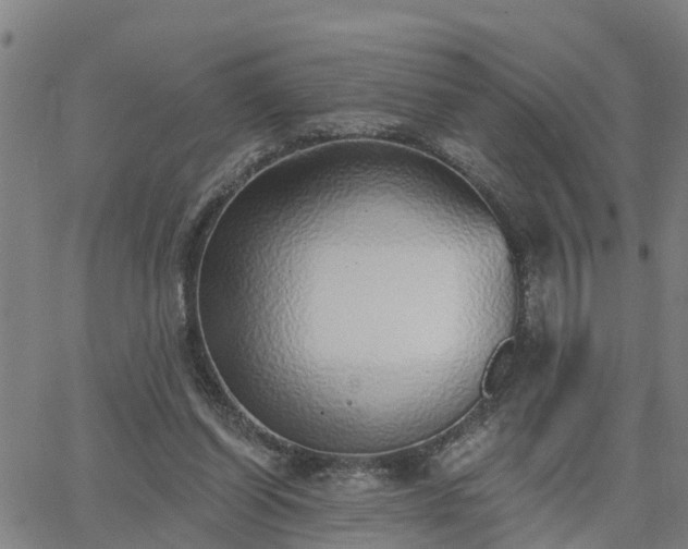 X0000063450254200601271546