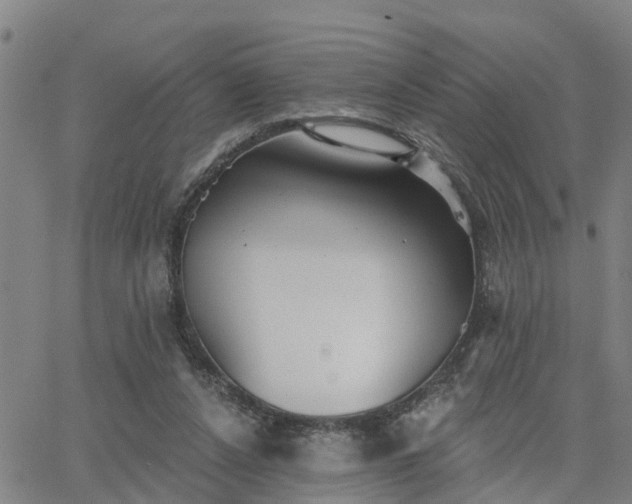 X0000063450256200601271546