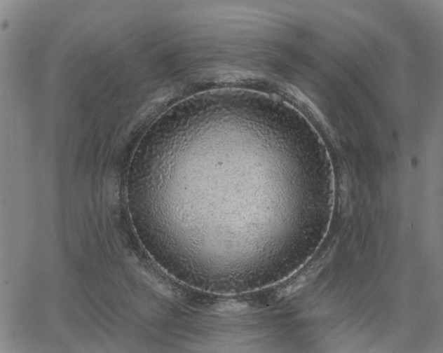 X0000063450257200601271546