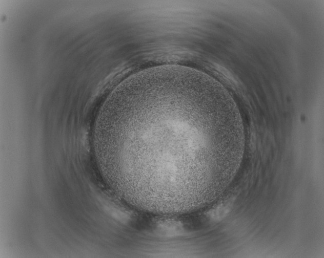 X0000063450258200601271546