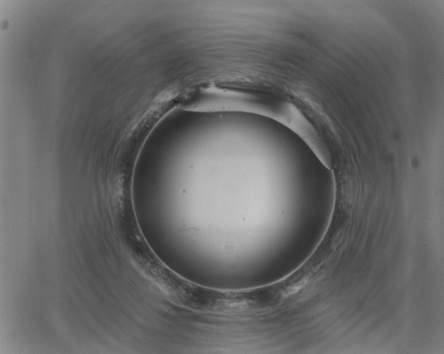 X0000063450260200601271546