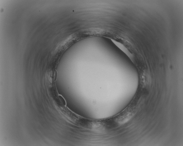 X0000063450264200601271546