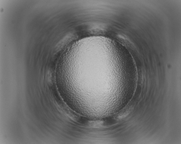 X0000063450266200601271546