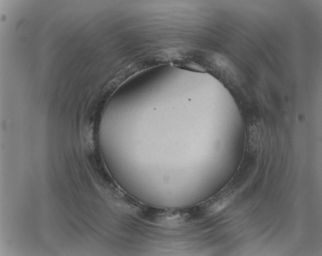 X0000063450267200601271546