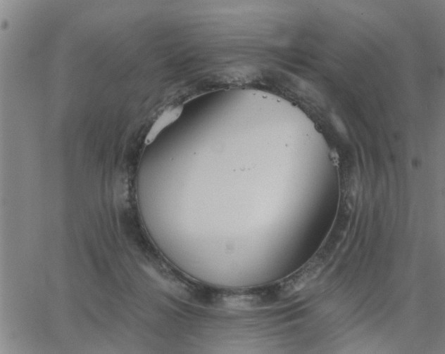 X0000063450268200601271546