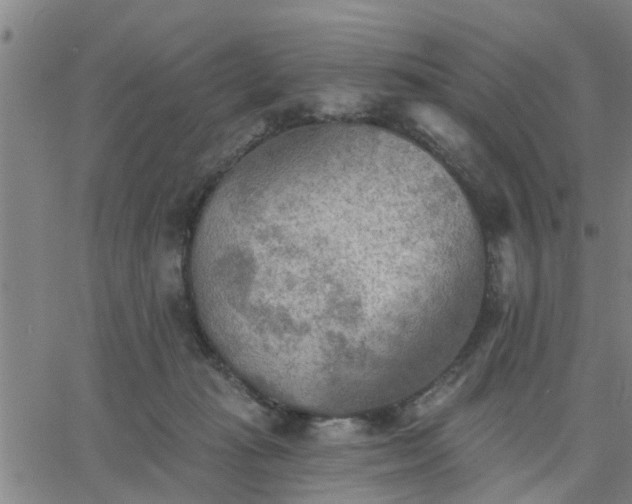 X0000063450269200601271546