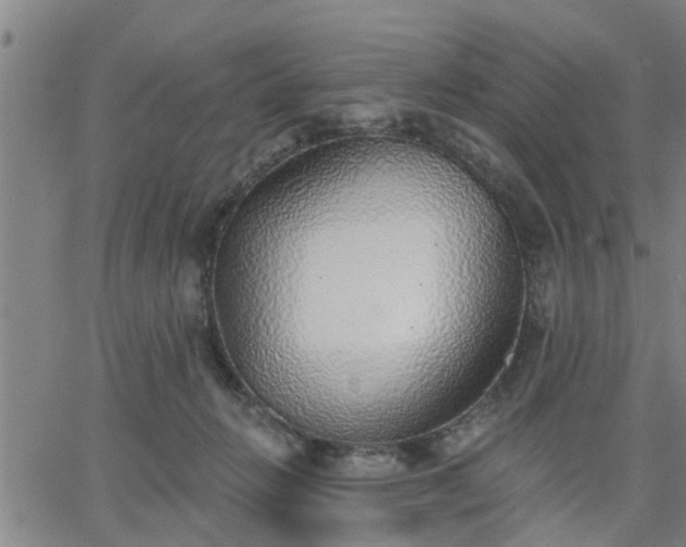 X0000063450270200601271546