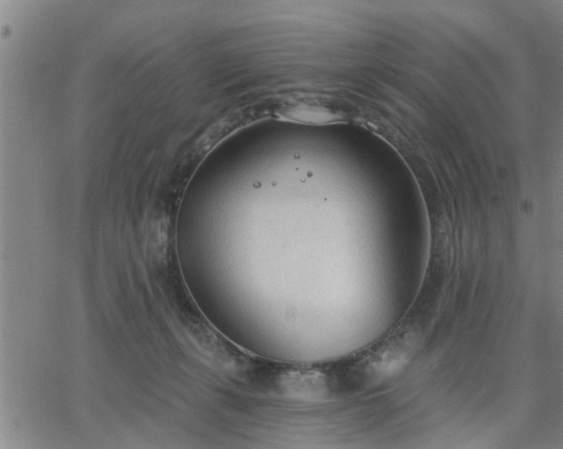 X0000063450271200601271546