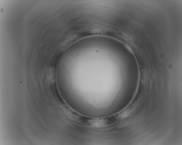 X0000063450273200601271546