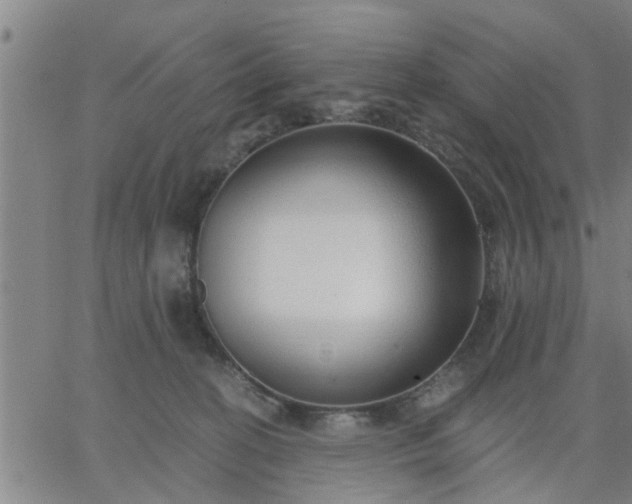 X0000063450274200601271546