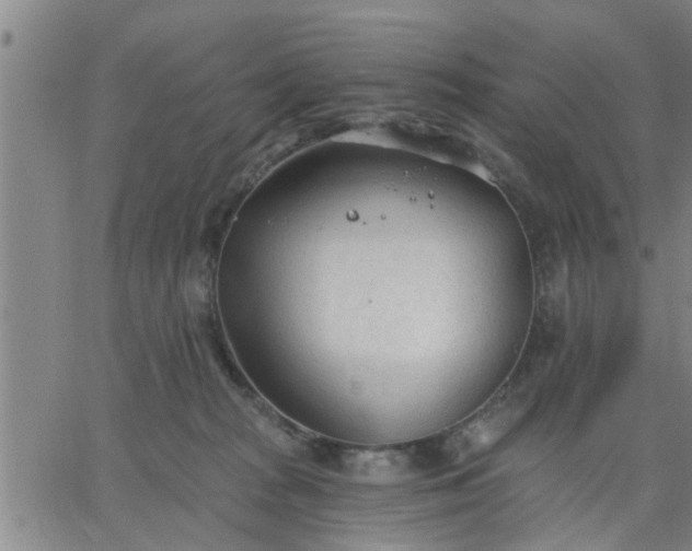 X0000063450277200601271547