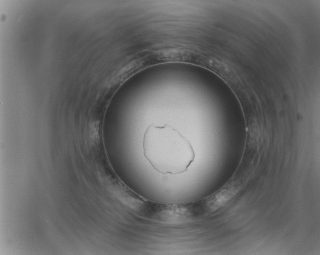 X0000063450278200601271547