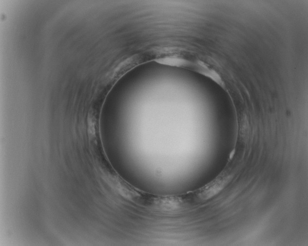 X0000063450282200601271547