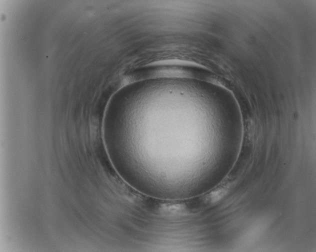 X0000063450283200601271547