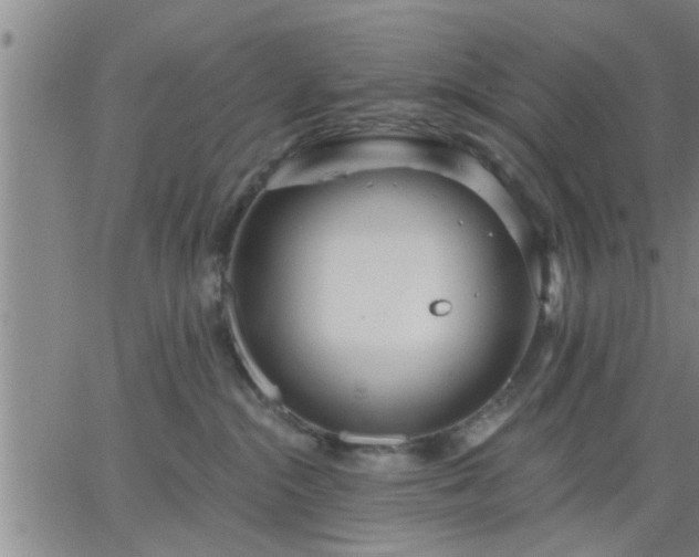 X0000063450284200601271547