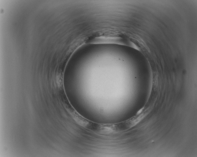 X0000063450285200601271547